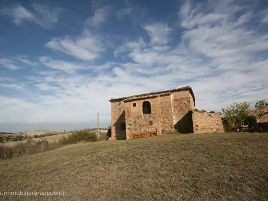 Immagine 13 di Attività commerciale in vendita  a Montalcino