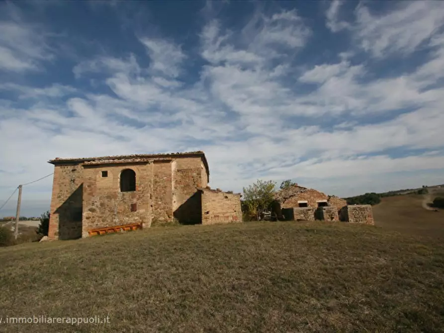 Immagine 14 di Attività commerciale in vendita  a Montalcino