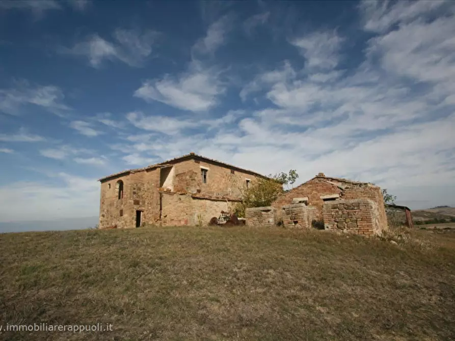 Immagine 15 di Attività commerciale in vendita  a Montalcino