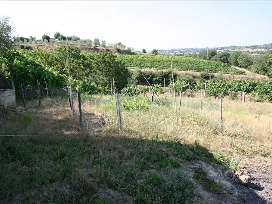 Immagine 3 di Terreno in vendita  a Foiano Della Chiana