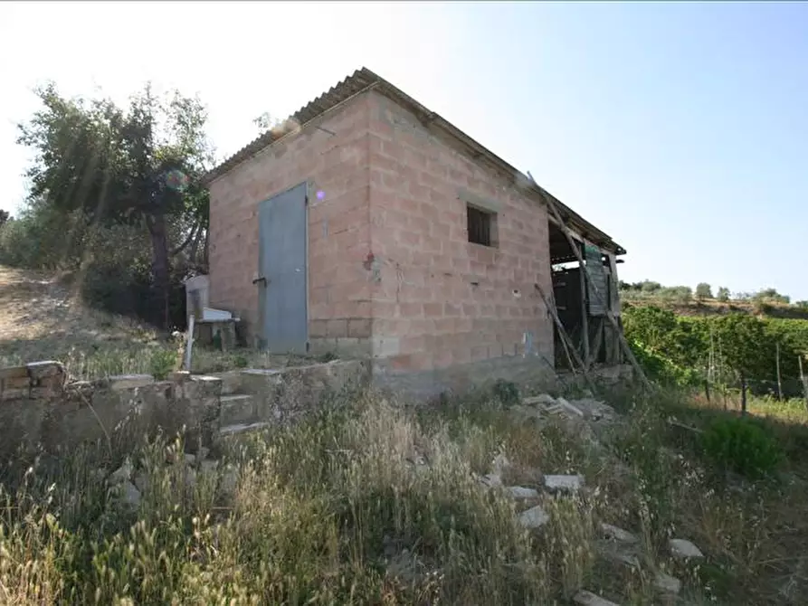 Immagine 4 di Terreno in vendita  a Foiano Della Chiana