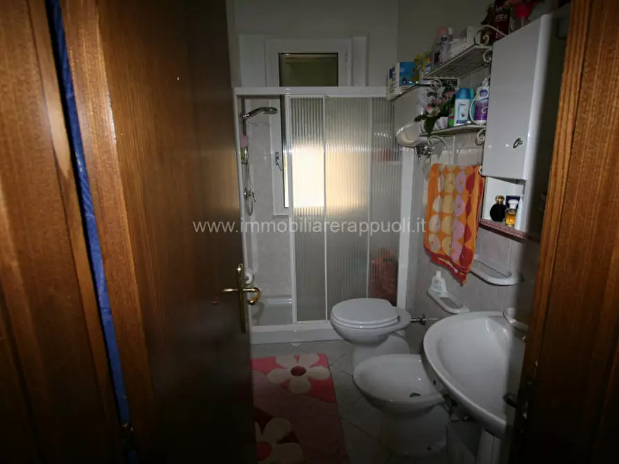 Immagine 5 di Appartamento in vendita  a Sinalunga