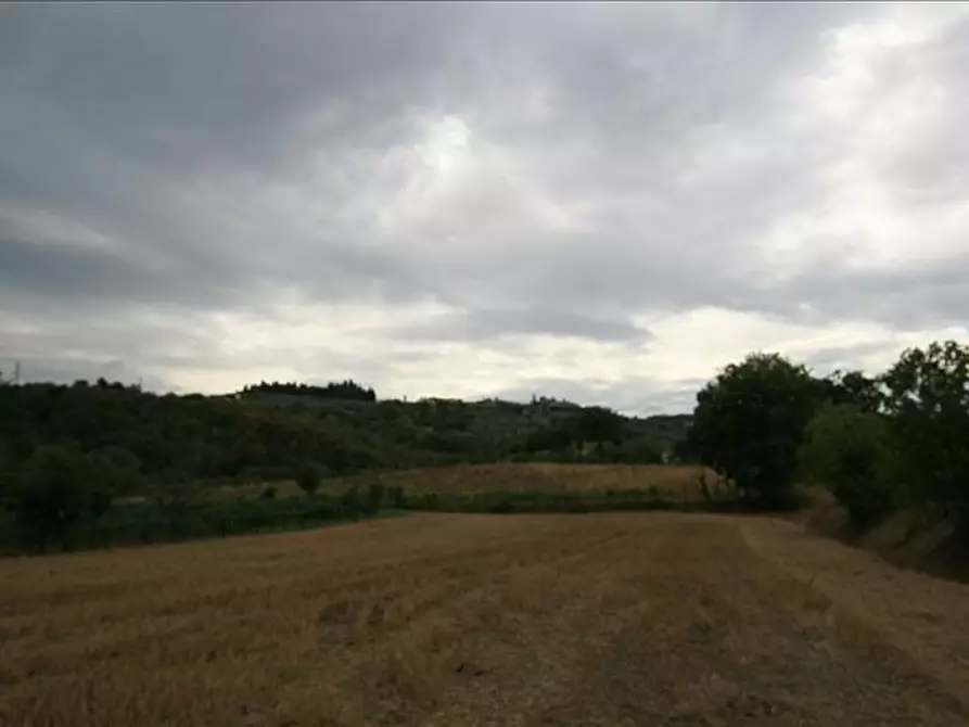Immagine 2 di Terreno in vendita  a Lucignano