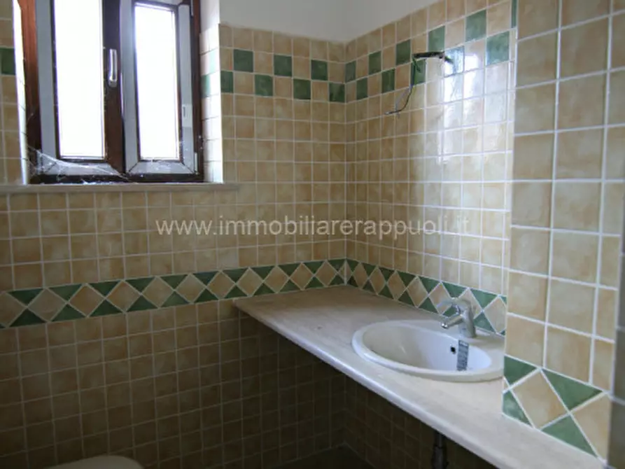 Immagine 5 di Appartamento in vendita  a Sinalunga