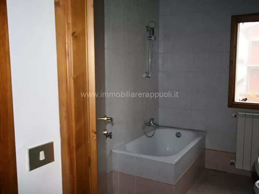 Immagine 5 di Appartamento in vendita  a Torrita Di Siena