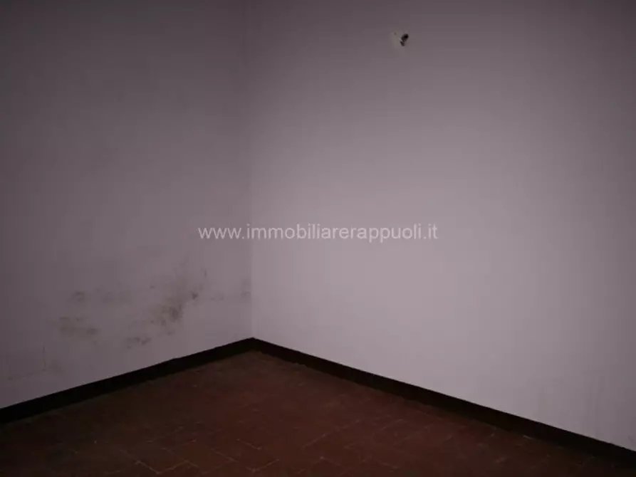 Immagine 7 di Appartamento in vendita  a Torrita Di Siena