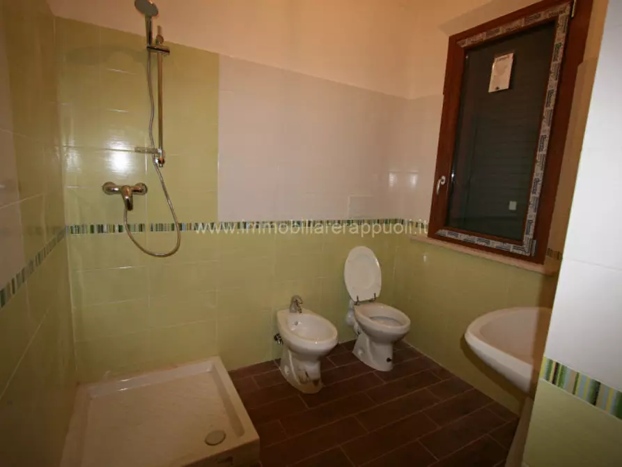 Immagine 3 di Appartamento in vendita  a Sinalunga