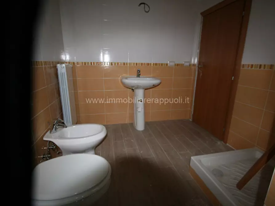 Immagine 5 di Appartamento in vendita  a Sinalunga