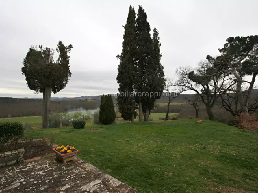 Immagine 14 di Rustico / casale in vendita  a Sinalunga