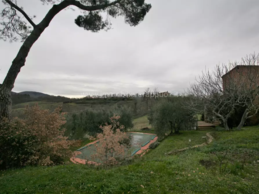 Immagine 16 di Rustico / casale in vendita  a Sinalunga