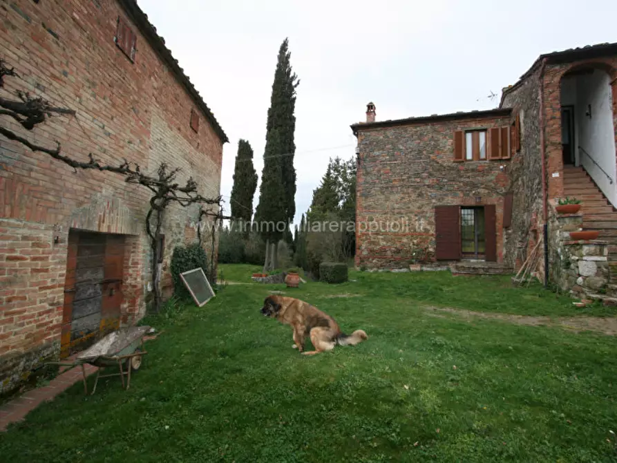 Immagine 17 di Rustico / casale in vendita  a Sinalunga