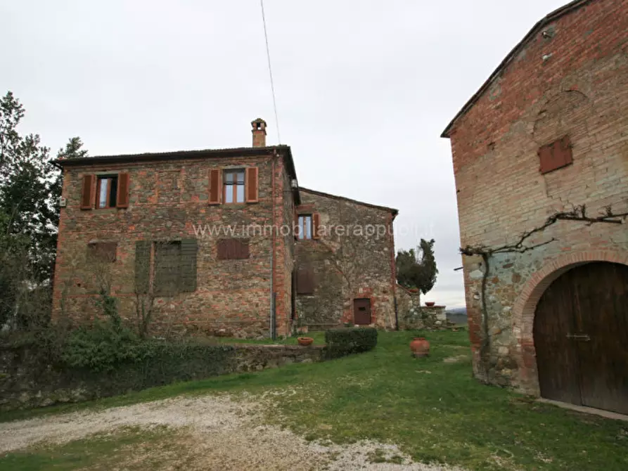 Immagine 18 di Rustico / casale in vendita  a Sinalunga