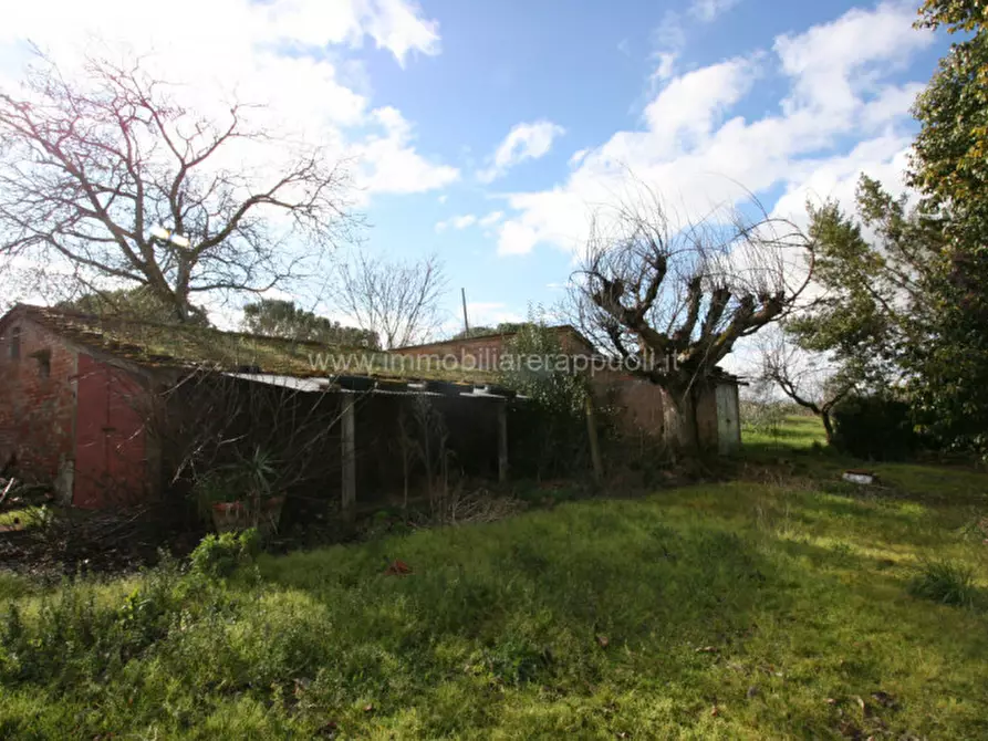 Immagine 6 di Rustico / casale in vendita  a Cortona