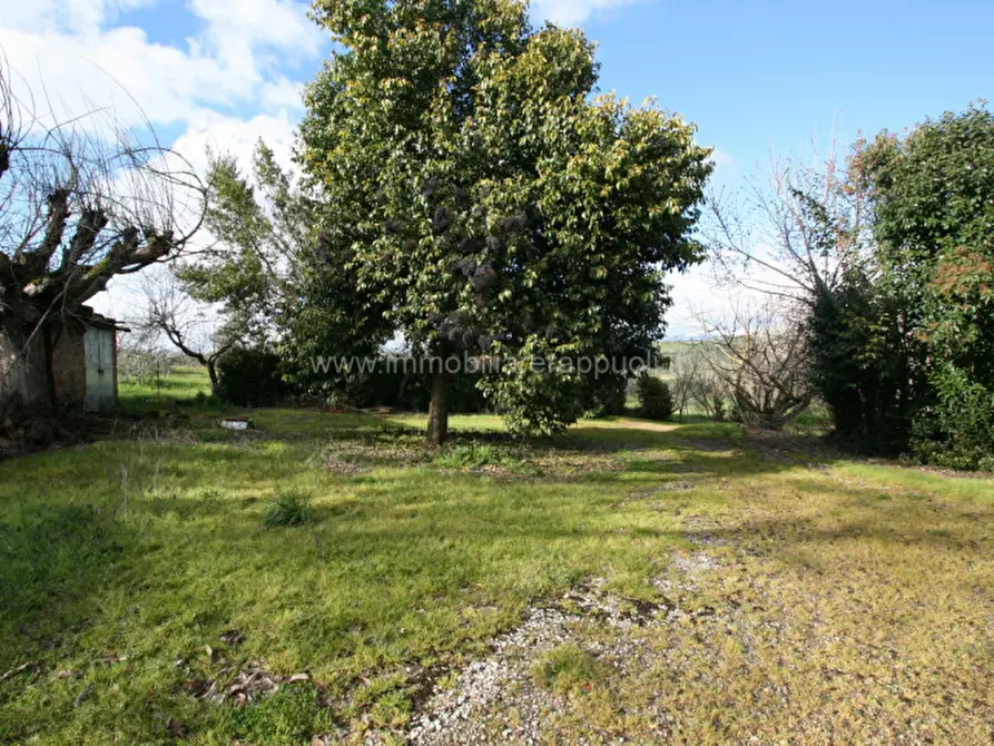 Immagine 7 di Rustico / casale in vendita  a Cortona