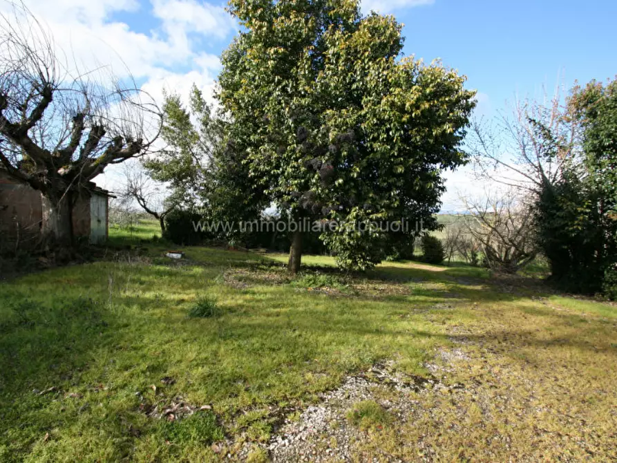 Immagine 8 di Rustico / casale in vendita  a Cortona