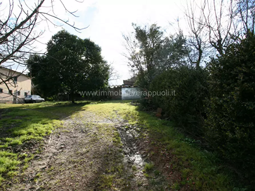 Immagine 9 di Rustico / casale in vendita  a Cortona