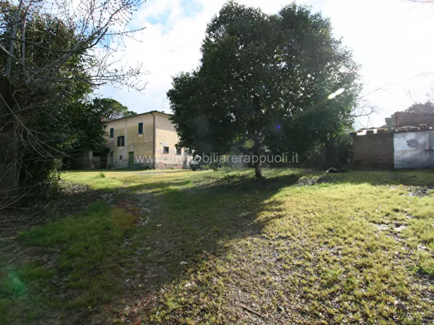 Immagine 10 di Rustico / casale in vendita  a Cortona