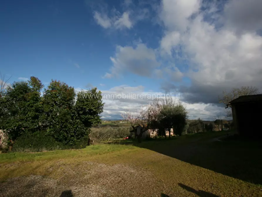 Immagine 11 di Rustico / casale in vendita  a Cortona
