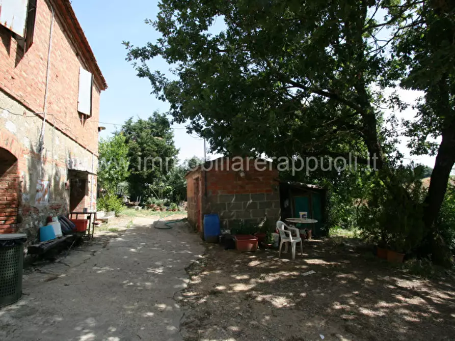 Immagine 3 di Rustico / casale in vendita  a Trequanda