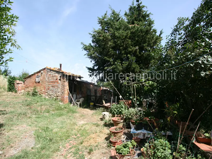 Immagine 4 di Rustico / casale in vendita  a Trequanda