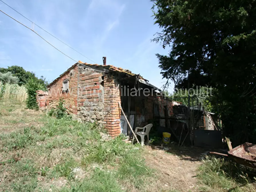 Immagine 6 di Rustico / casale in vendita  a Trequanda