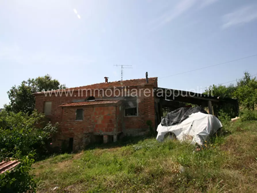 Immagine 8 di Rustico / casale in vendita  a Trequanda