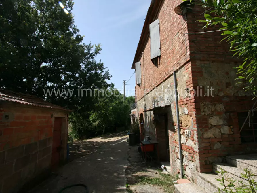 Immagine 9 di Rustico / casale in vendita  a Trequanda