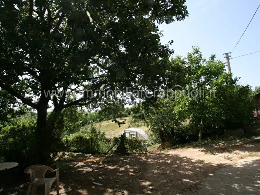 Immagine 10 di Rustico / casale in vendita  a Trequanda