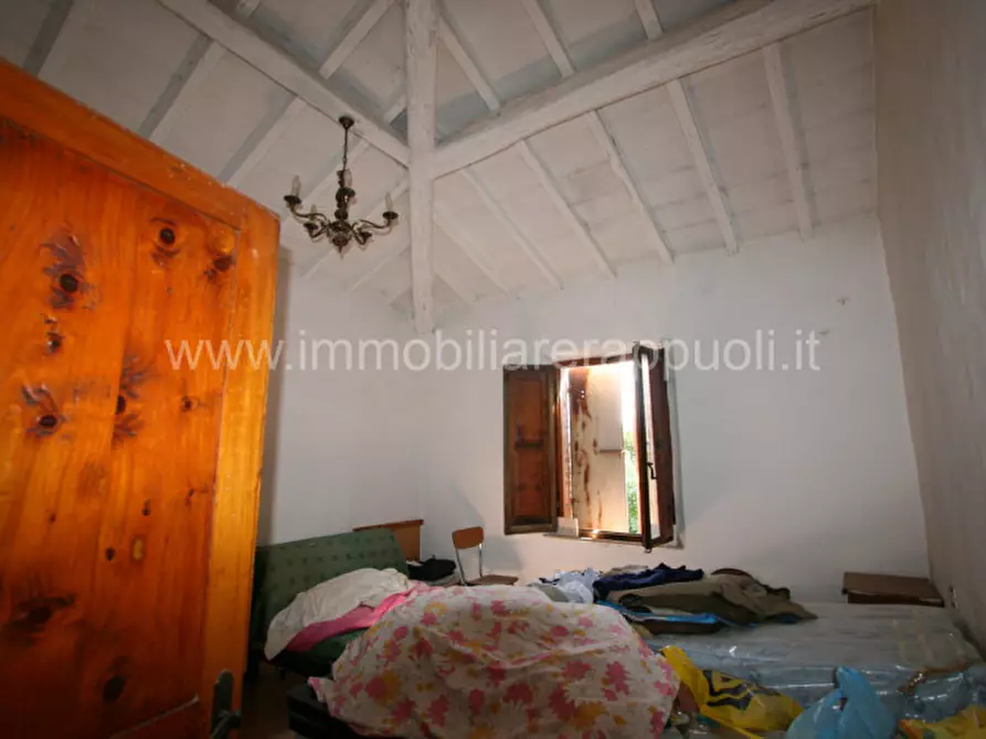 Immagine 12 di Rustico / casale in vendita  a Trequanda