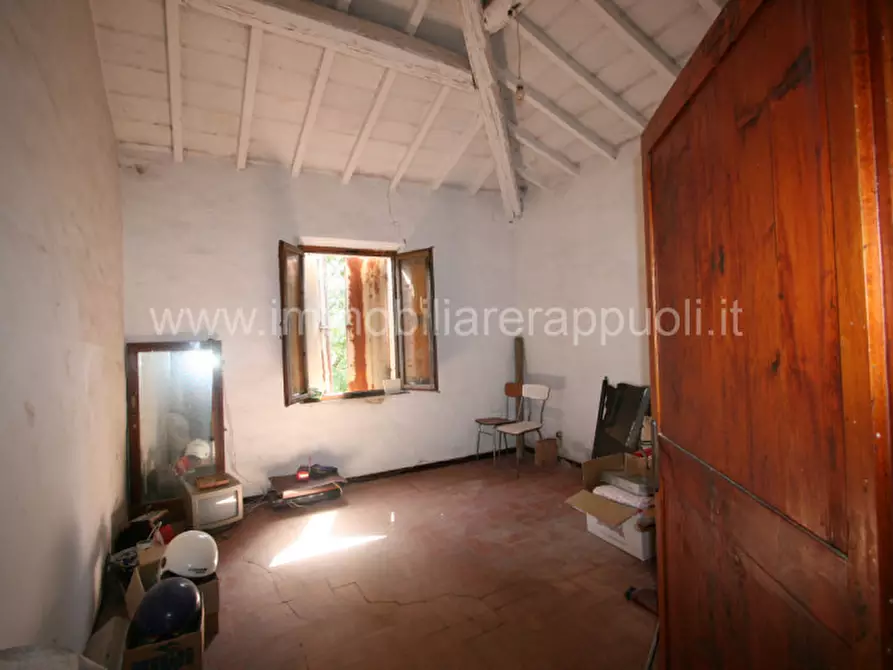 Immagine 15 di Rustico / casale in vendita  a Trequanda