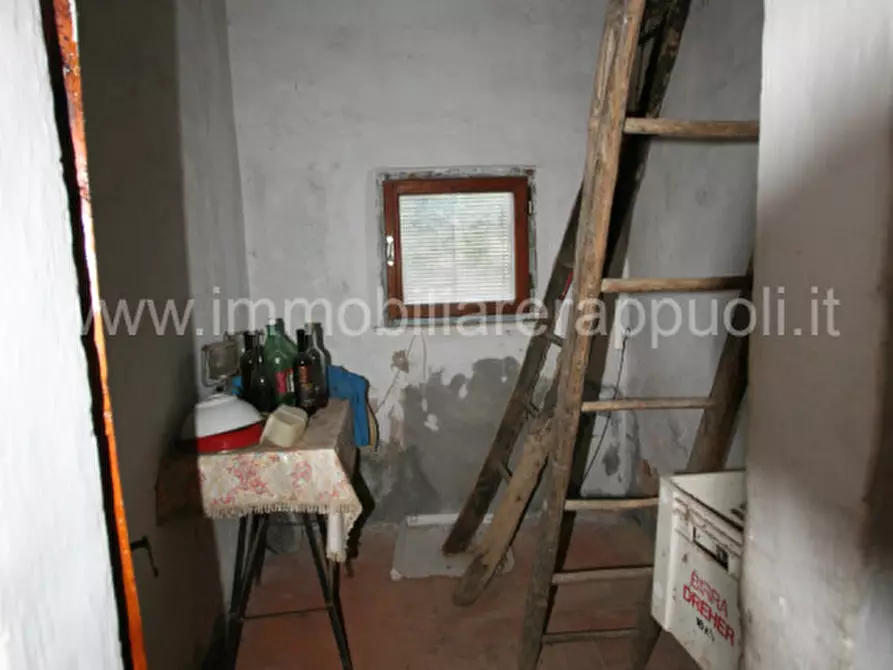 Immagine 16 di Rustico / casale in vendita  a Trequanda