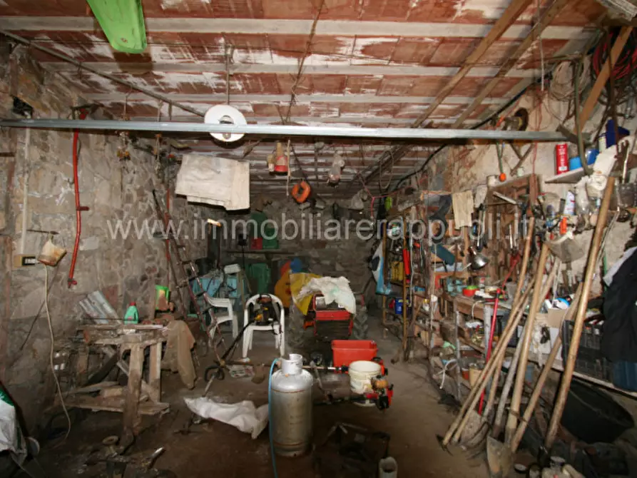 Immagine 19 di Rustico / casale in vendita  a Trequanda