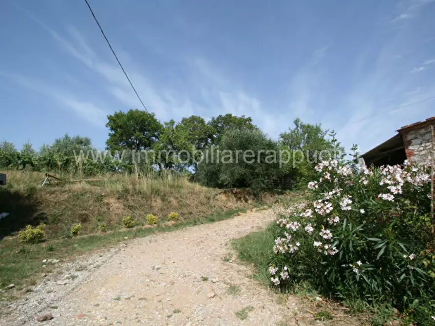 Immagine 21 di Rustico / casale in vendita  a Trequanda