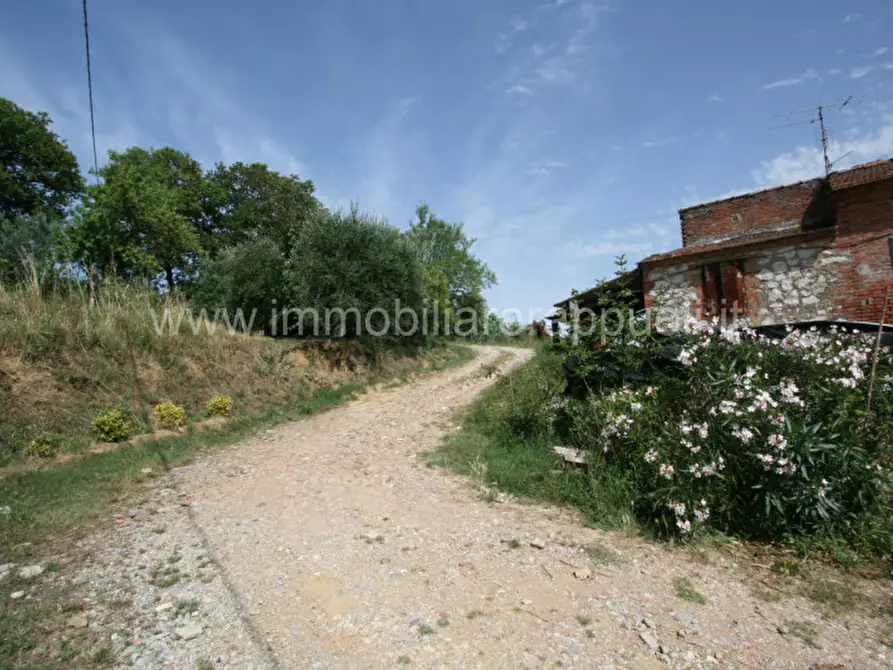 Immagine 23 di Rustico / casale in vendita  a Trequanda