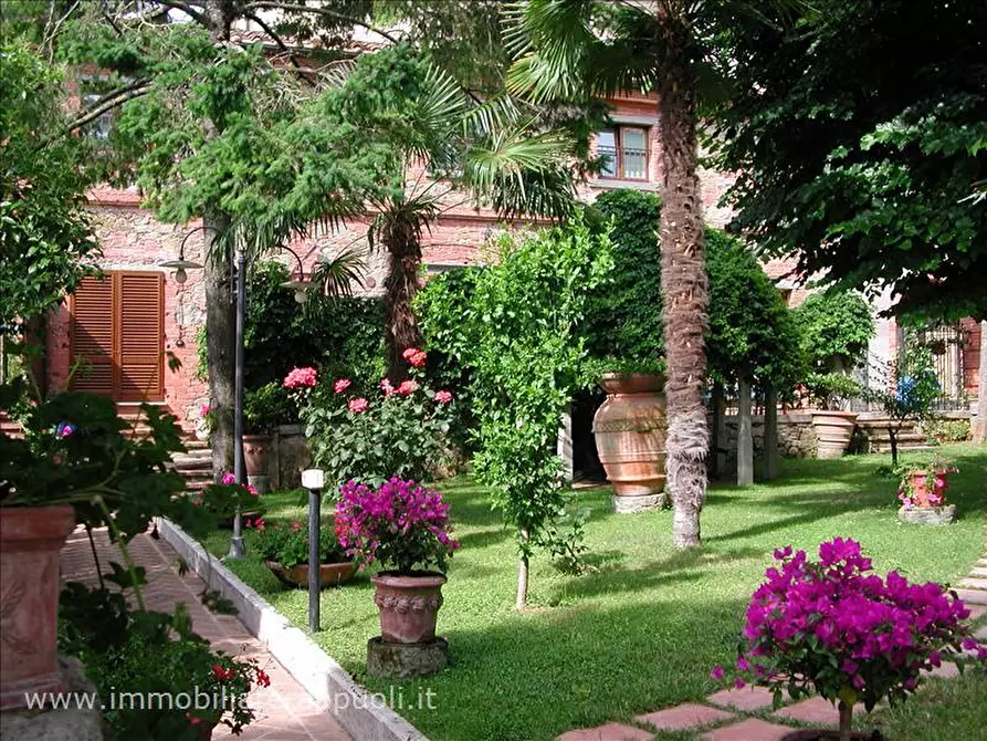 Immagine 3 di Agriturismo in vendita  a Sinalunga