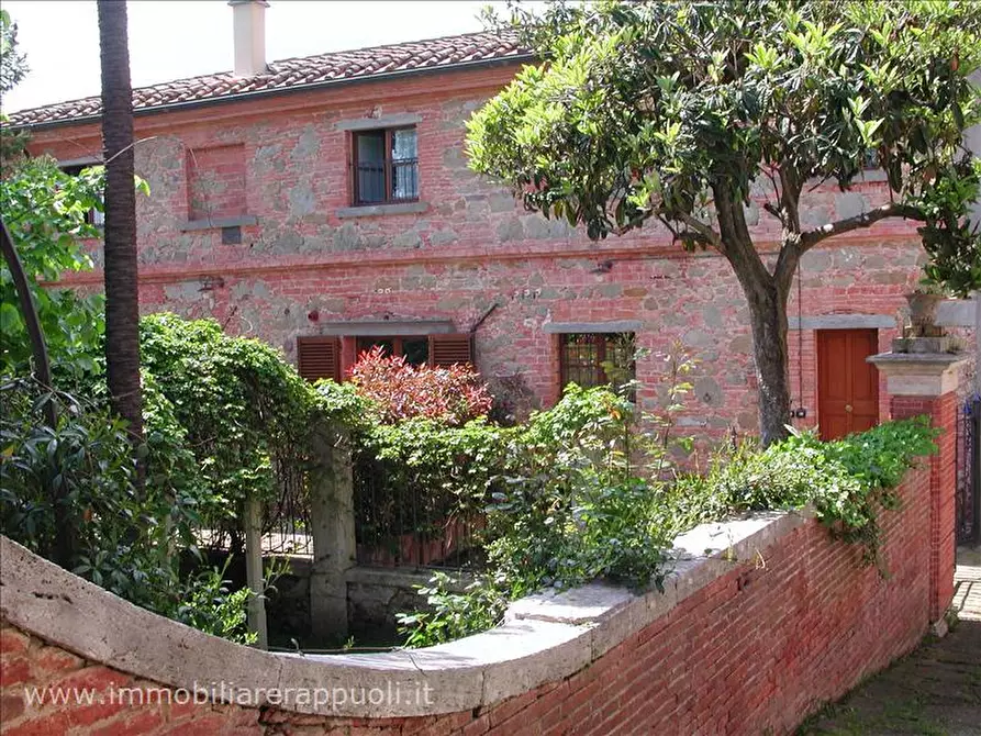 Immagine 4 di Agriturismo in vendita  a Sinalunga