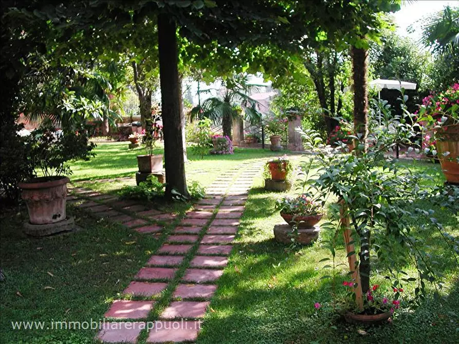 Immagine 5 di Agriturismo in vendita  a Sinalunga