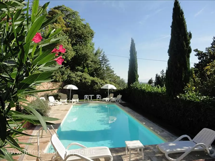 Immagine 6 di Agriturismo in vendita  a Sinalunga