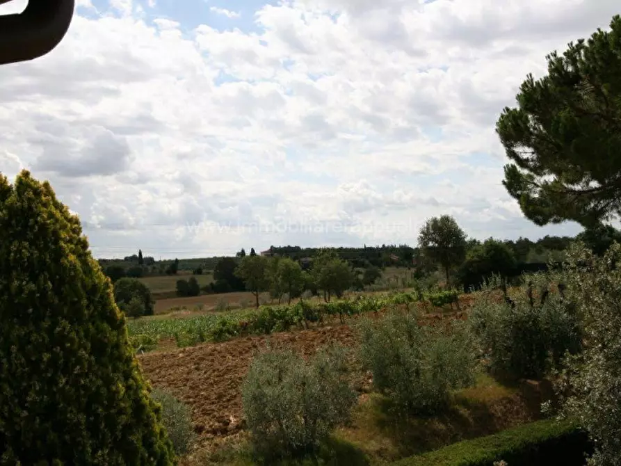 Immagine 17 di Rustico / casale in vendita  a Lucignano