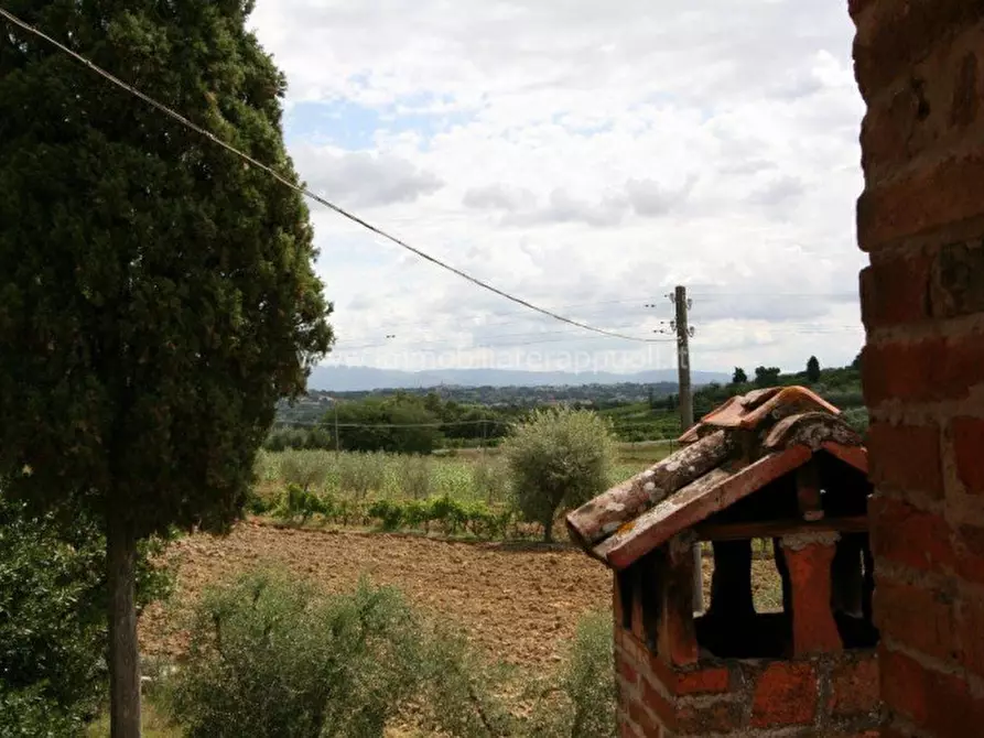 Immagine 18 di Rustico / casale in vendita  a Lucignano