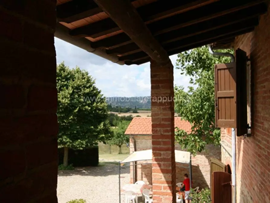 Immagine 19 di Rustico / casale in vendita  a Lucignano