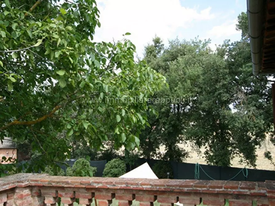Immagine 20 di Rustico / casale in vendita  a Lucignano