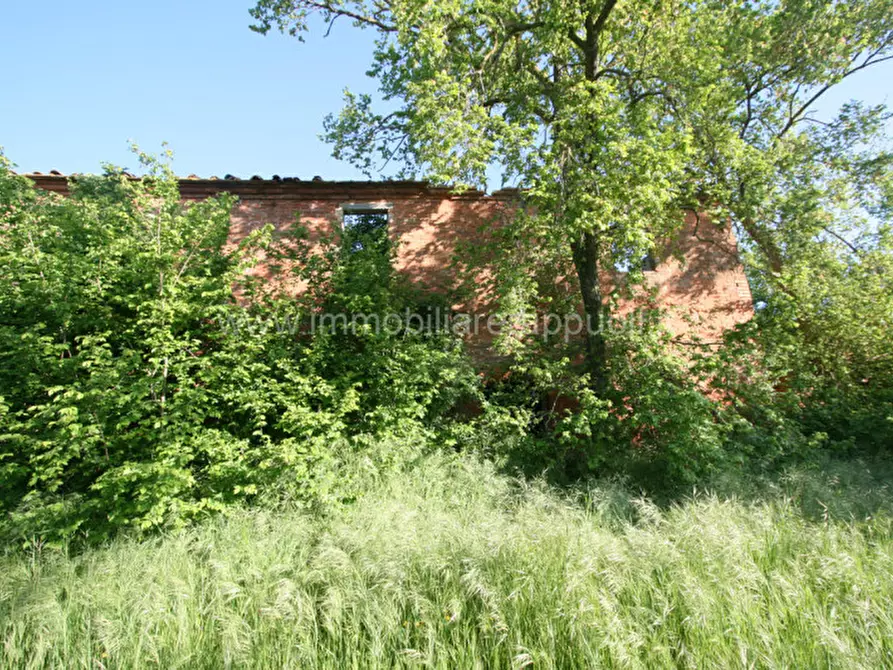 Immagine 4 di Rustico / casale in vendita  a Cortona