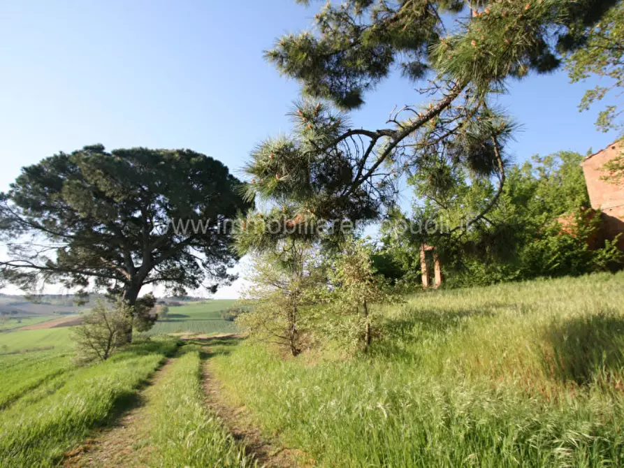 Immagine 5 di Rustico / casale in vendita  a Cortona