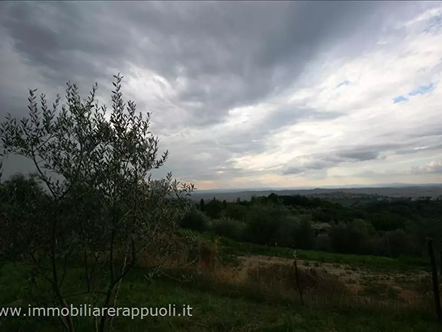 Immagine 2 di Terreno in vendita  a Trequanda
