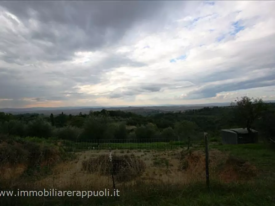 Immagine 3 di Terreno in vendita  a Trequanda