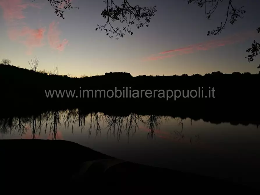 Immagine 2 di Rustico / casale in vendita  a Rapolano Terme