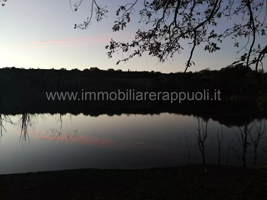 Immagine 3 di Rustico / casale in vendita  a Rapolano Terme