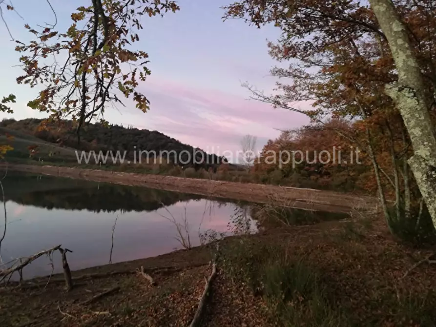 Immagine 4 di Rustico / casale in vendita  a Rapolano Terme