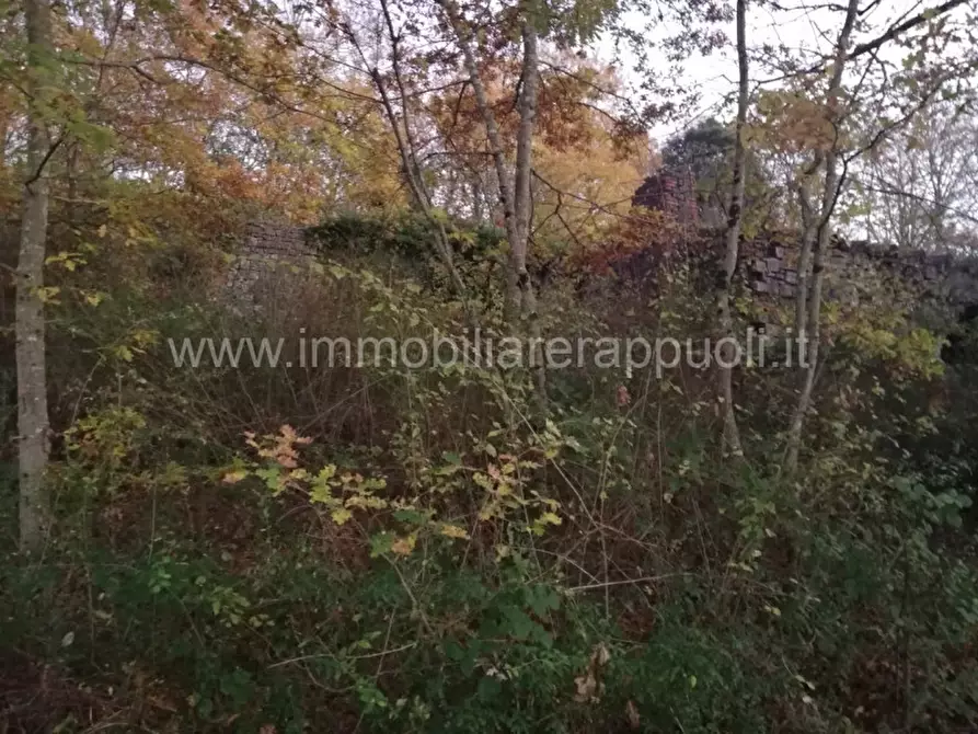 Immagine 7 di Rustico / casale in vendita  a Rapolano Terme